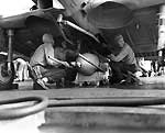 Ordnancemen aboard Enterprise CV-6 load a 500 lb. bomb on a Dauntless SBD, 7 August 1942.