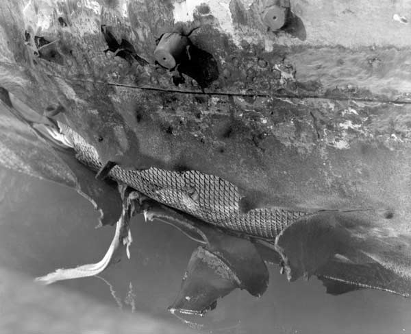 Cofferdam and wooden plugs used to repair hull damage inflicted at the Eastern Solomons, August 1942